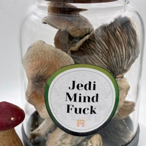 Jedi Mind Fuck Magic Mushrooms