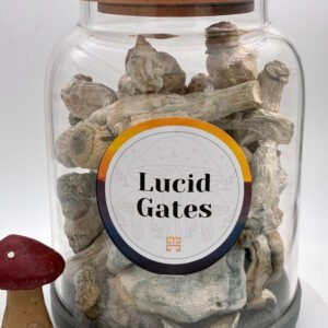 Lucid Gates Magic Mushrooms